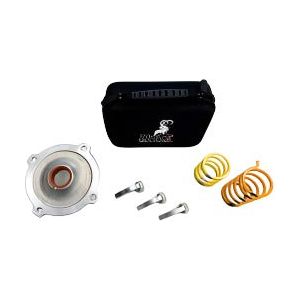 Polaris Stage 2 Clutch Kit | Ibexx