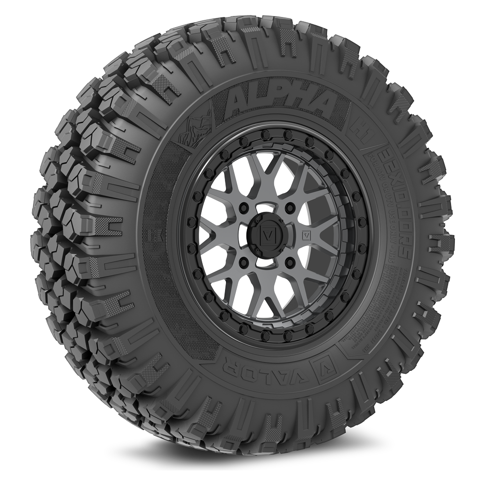 Alpha V07 (Graphite) Wheel & Tire Package | Valor Offroad