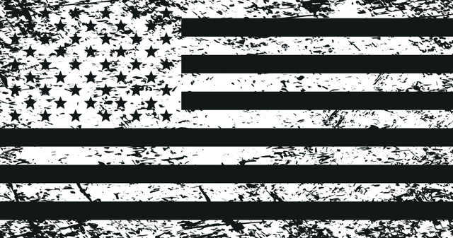 DragonFire Racing Tattered American Flag Whip Flag - Powersports Accessory