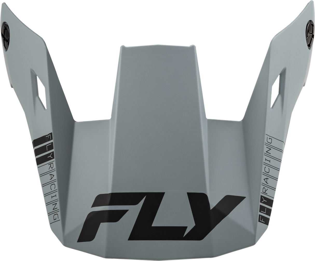 Fly Racing Rayce Helmet Visor Matte Grey XL for Off-Road and Motocross Bikes