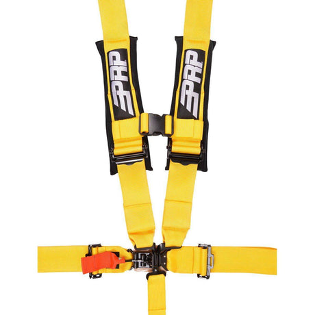 5.3 Harness | PRP