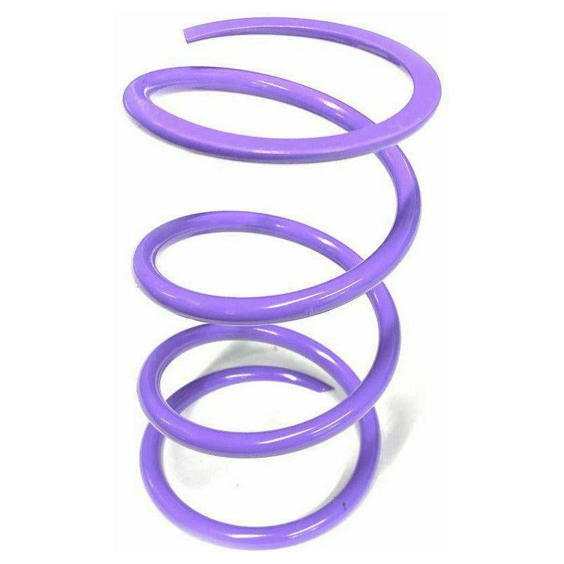 Polaris RZR Turbo Secondary Springs | Aftermarket Assassins