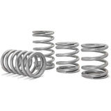 Polaris RZR Pro XP Tender Springs