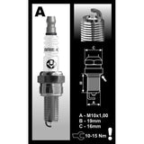 Polaris RZR Replacement Spark Plug