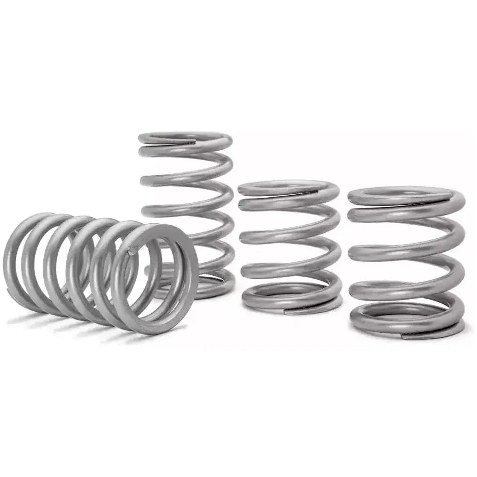 Polaris RZR Turbo S Tender Springs