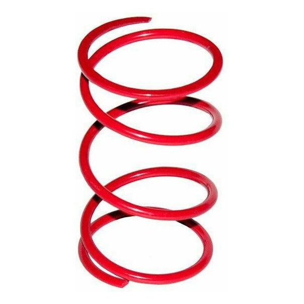 Polaris Driven Clutch Spring | SLP