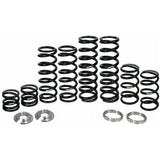 Polaris RZR Pro XP 4 Stage 1 Spring Kit | ZBROZ
